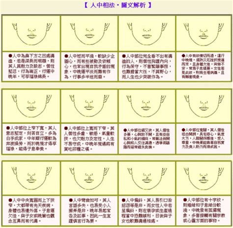 金型人男|【面相学】一看就会的五行识人